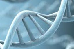 渠道价格优势的怎么去攻击一个网站与防护